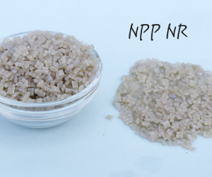 Injection Molding Grade Natural PP Granules in India